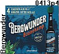 0413p4 BERGWUNDER klweb boonekamp